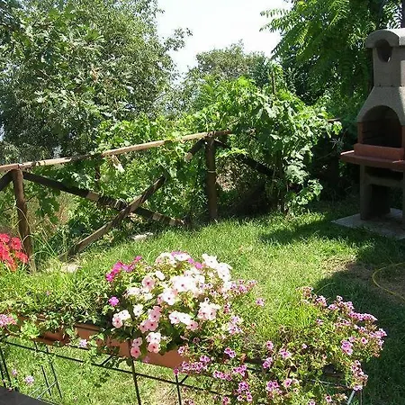 Casa La Papuzza Mare E Etna Vakantiehuis Mascali