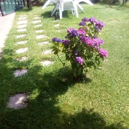 Casa vacanze Casa La Papuzza Mare E Etna *