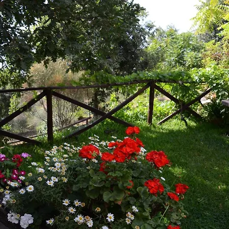 Casa La Papuzza Mare E Etna Holiday home