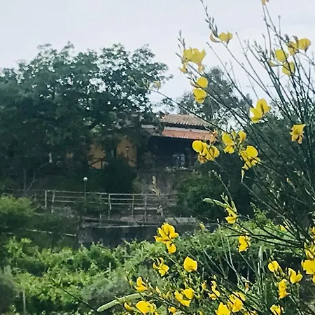 Casa de Férias Casa La Papuzza Mare E Etna